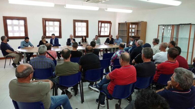 Sardegna, assessori Murgia e Salaris incontrano i produttori di carciofi