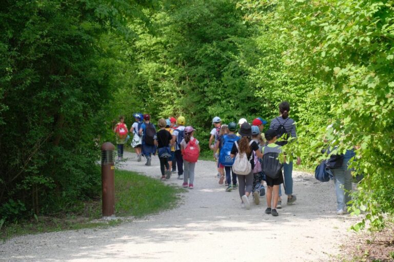 Un albero per ogni bambino, 600 scolari al bosco di Mestre