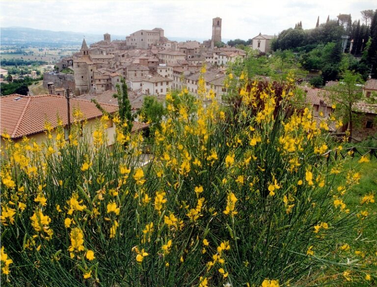 Toscana, il 7 giugno ad Arezzo torna il “Pa social day”