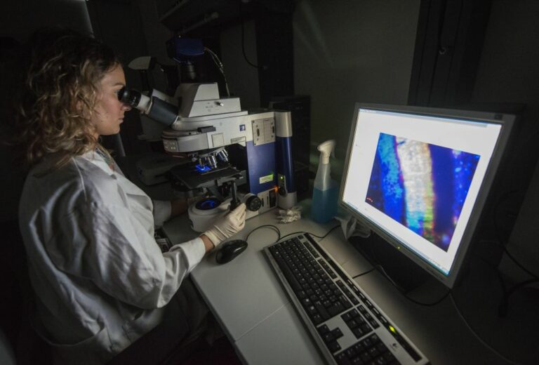 Mucopolisaccaridosi di tipo 6, buone prospettive dalla terapia genica