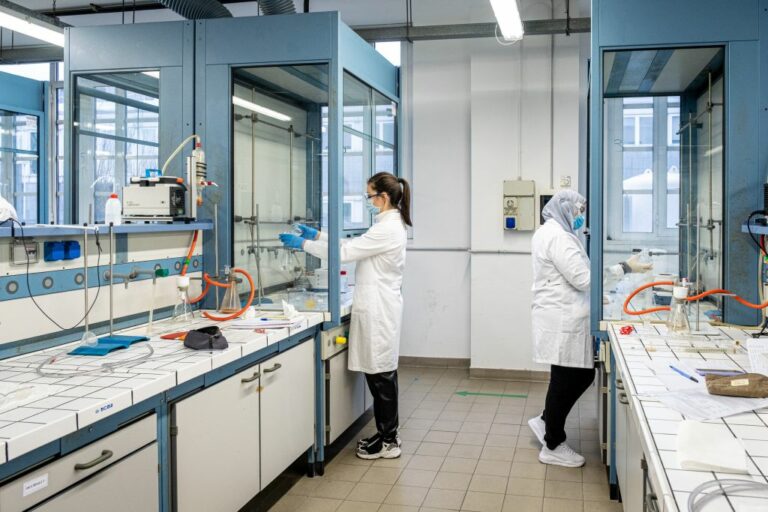 Uno studio, alcuni batteri alleati nella lotta al cambiamento climatico