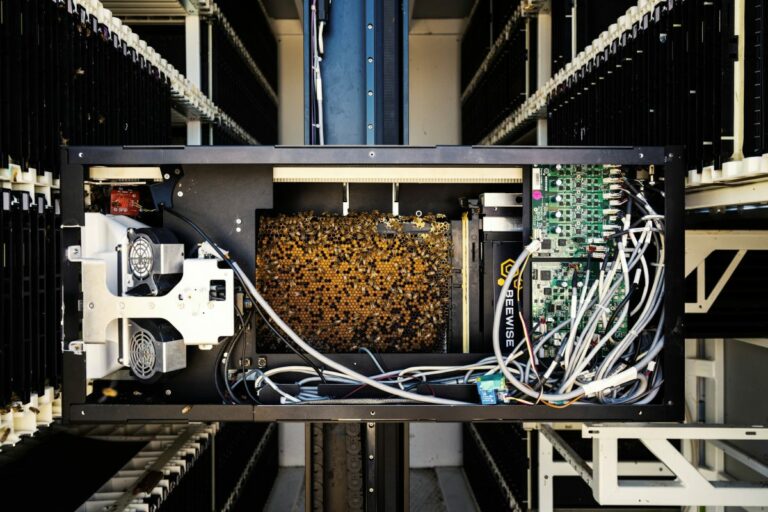 Banca Generali e Guindani insieme per l’SDG numero 2 “Fame zero”