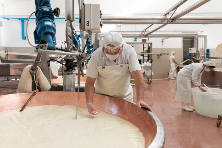 Latte, avviate le trattative per il nuovo accordo sul prezzo