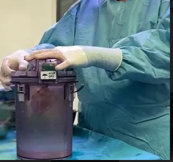 Primo trasporto di cuore pediatrico a temperatura controllata in Italia