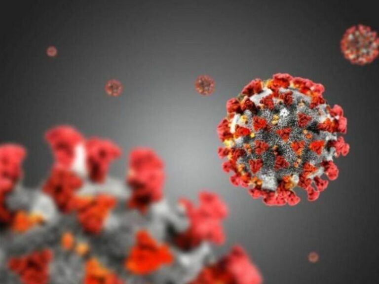 Covid, in Sardegna 2033 nuovi casi e due decessi