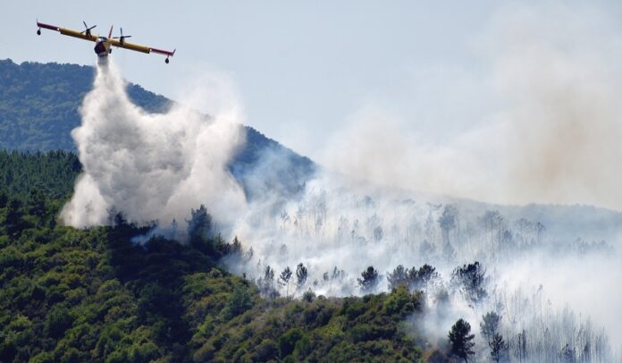 Incendi, la Regione Liguria corre in soccorso della Toscana