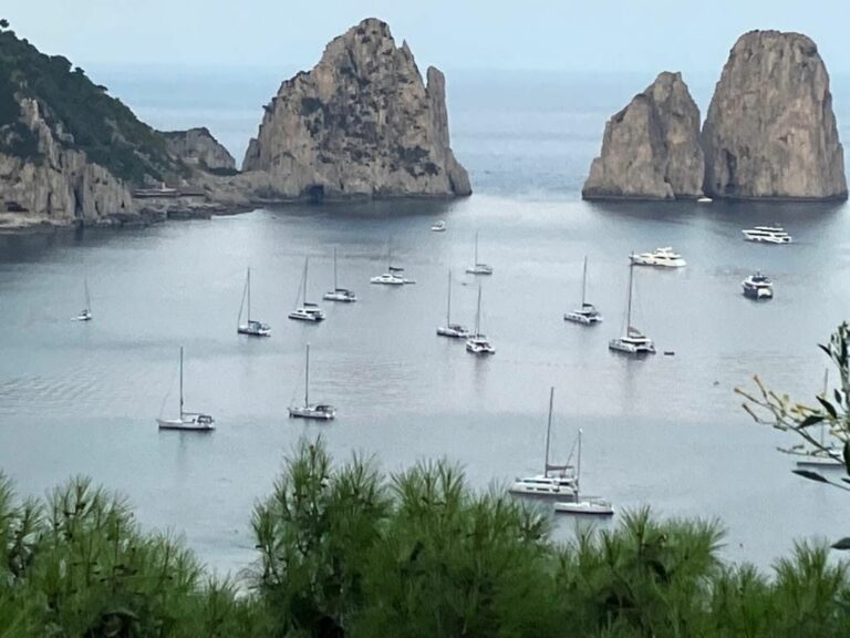 Marevivo “A Capri e Anacapri un passo verso l’Area Marina Protetta”