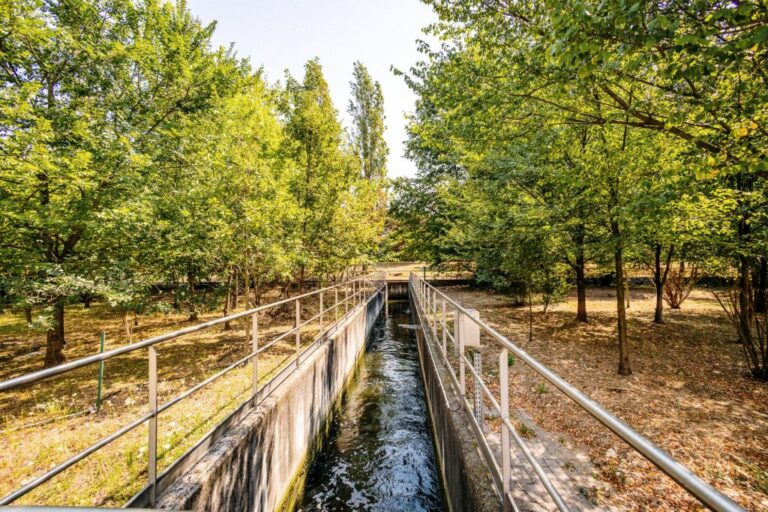Siccità, Si userà acqua depurata per innaffiare il Parco Nord Milano