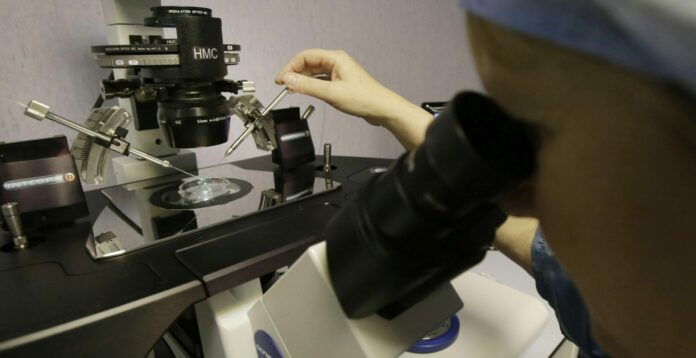 Glasgow, la bambina concepita con la nuova tecnica di fecondazione in vitro