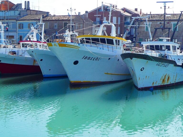 Malta, Eu inspections in the Mediterranean against illegal fishing