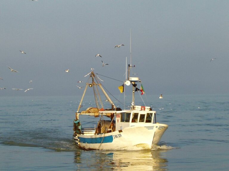 Peschereccio affonda nel vibonese, salvati in mare tre pescatori
