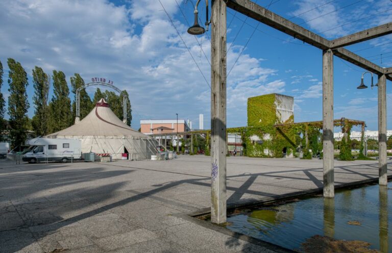 Il Circo acrobatico e artistico al parco della Bissuola di Venezia