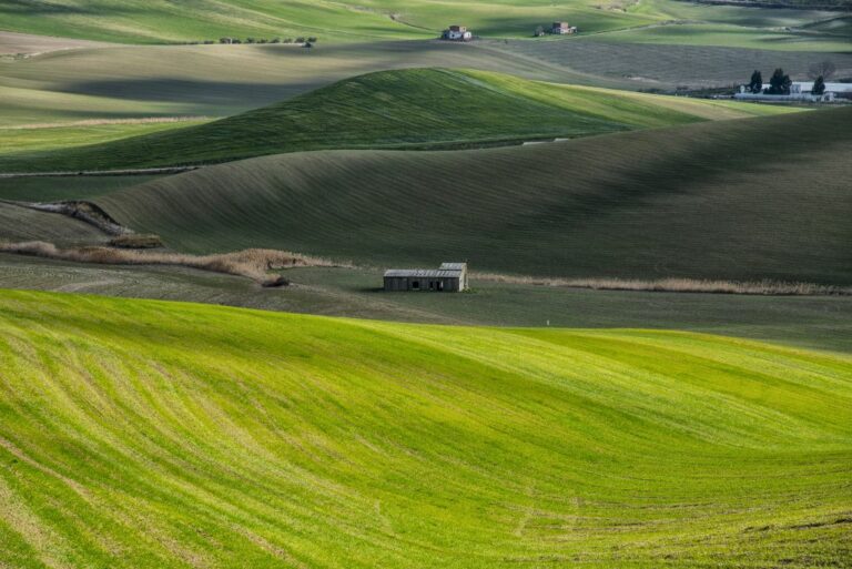 Agricoltura, 74 milioni nel Lazio per anticipi su misure superficie Psr