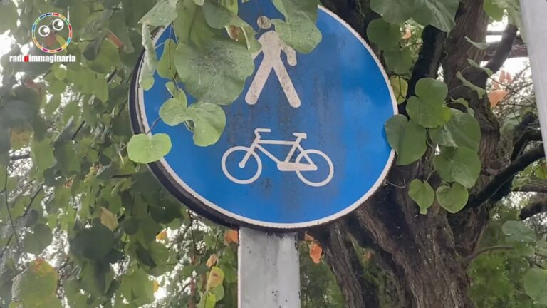 Incidenti domestici e stradali con vittime bambini e adolescenti, come prevenirli