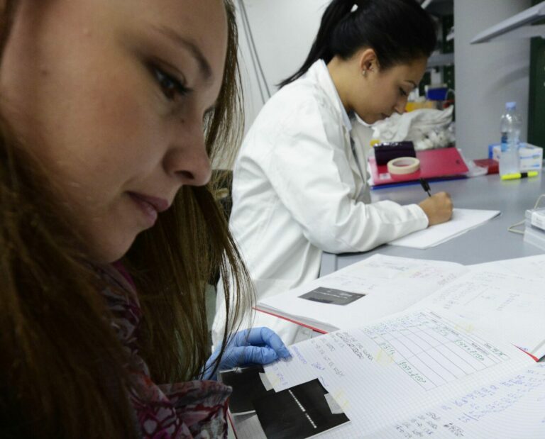 Pnrr, un bando per portare i giovani ricercatori di eccellenza in Italia