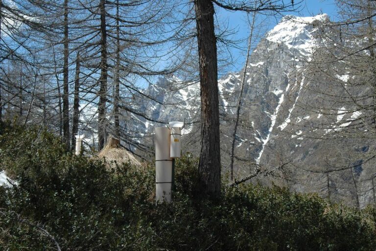 L’impatto dello smog sugli ecosistemi, al via progetto Life Modern Nec