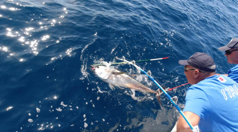 Tutto pronto a Pescara per il 30° Mondiale di Drifting