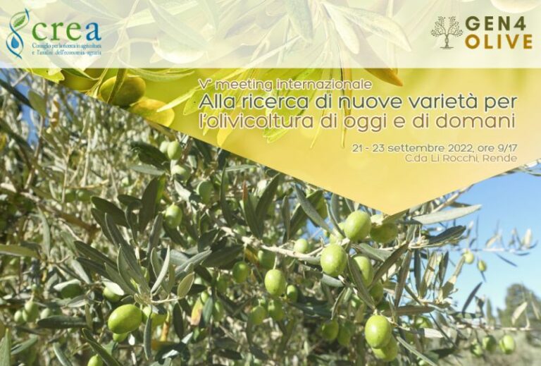 Il Crea partner del progetto per miglioramento genetico dell’olivo