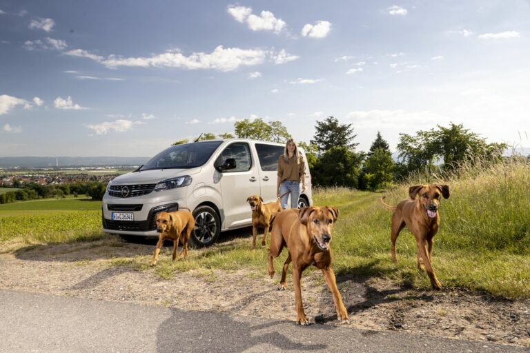Opel Zafira-e Life, la migliore amica del cane