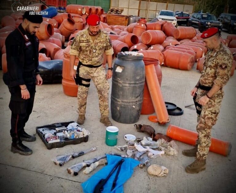 Carabinieri sequestrano un arsenale e chili di droga, due arresti in Calabria