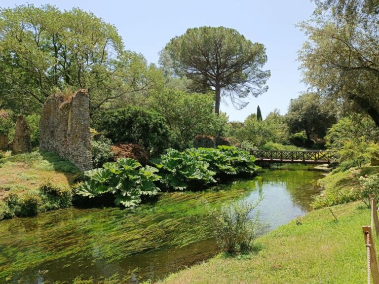Vincenzi “Da consiglio ok a delibera su salvaguardia flora-fauna Lazio”
