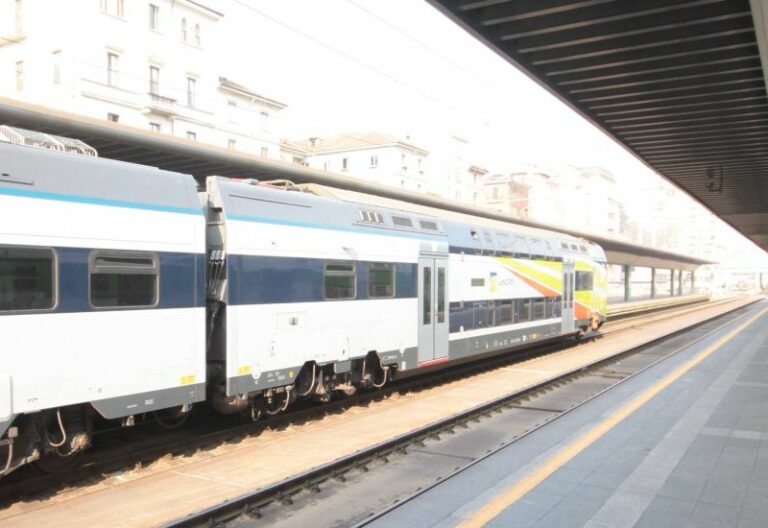 Ue, Tardino “Richiesti maggiore efficienza e riduzione dei costi del trasporto ferroviario”