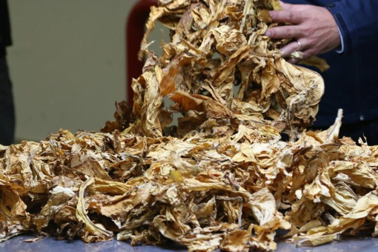 Philip Morris, nuovi investimenti a Marcianise e Bastia Umbra