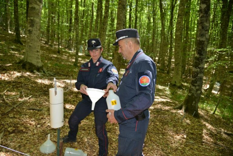 Carabinieri e  Massachusetts Institute of Technology – Mit – Italy Program insieme per la sostenibilità