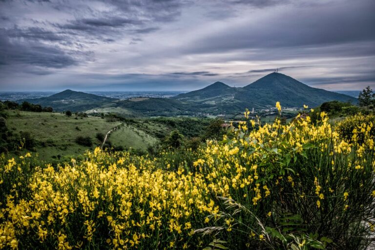 Turismo, Caner “Colli Euganei premiati a Bruxelles con la Cets”