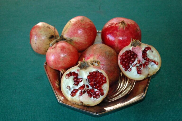 Dagli scarti del melograno nuove possibili super molecole benefiche