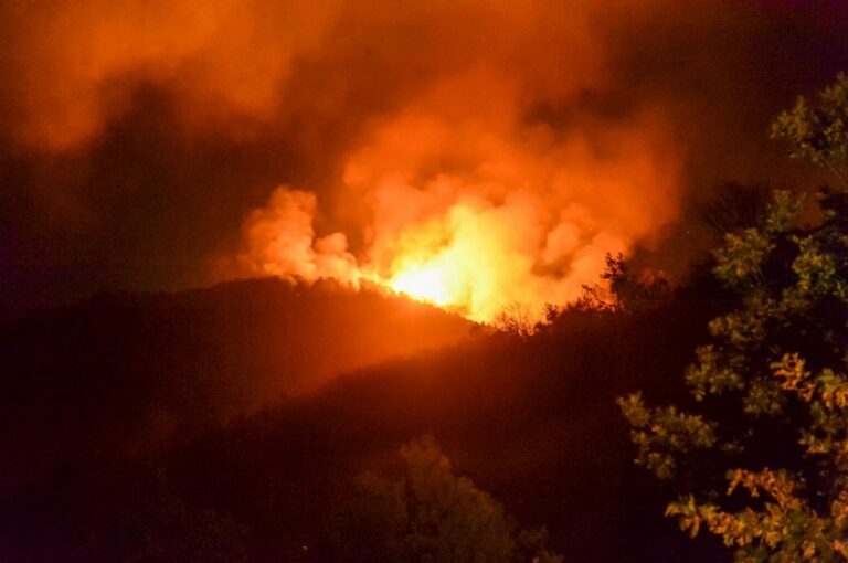 Inwit e Wwf insieme per prevenire gli incendi nelle oasi boschive