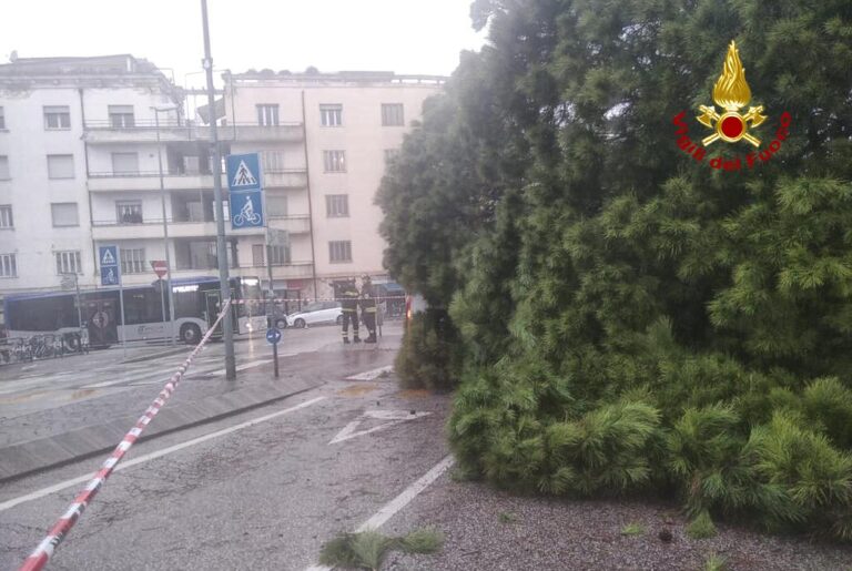 Padova, grosso pino marittino precipita su un’auto, quattro feriti