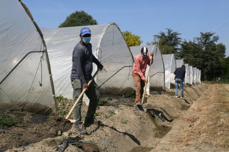 Agricoltura, Uila “Latina non è la capitale dello sfruttamento”