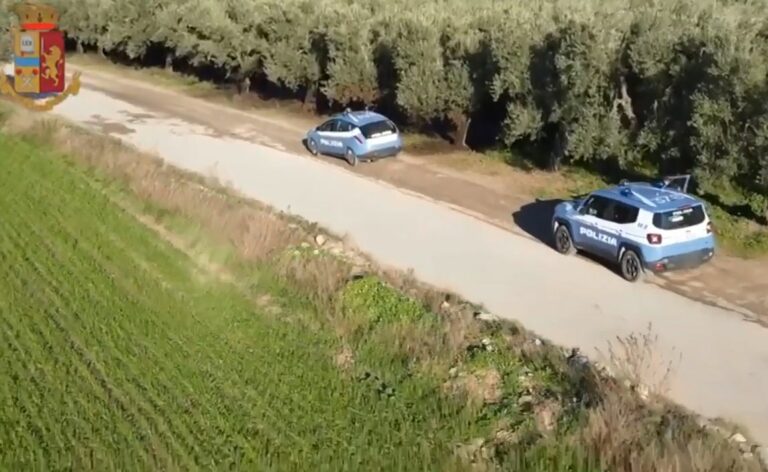 Furti d’auto e riciclaggio, stroncato nel Foggiano giro da oltre 1 milione di euro