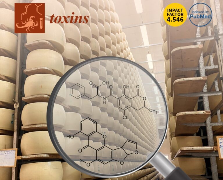 Formaggi grattugiati, nelle bustine possibile presenza di 2 micotossine