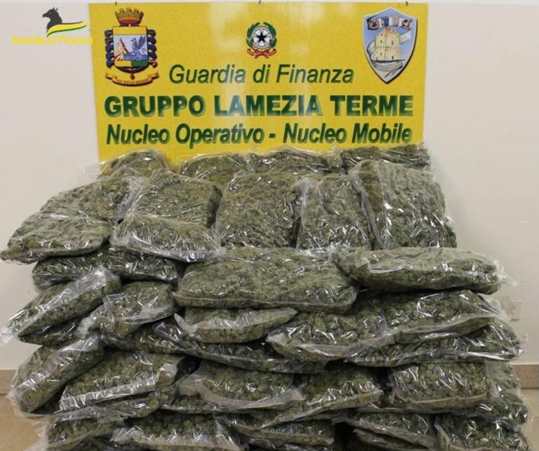 Sequestrati a Lamezia Terme 55 Kg di marijuana, un arresto
