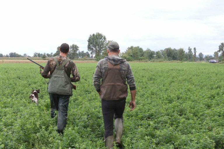 Urbanistica e caccia in Sardegna, la Consulta boccia il ricorso del governo