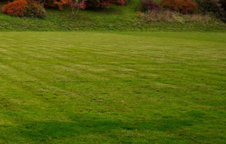 Diventare giardiniere d’arte, avviso per i progetti di formazione in Toscana