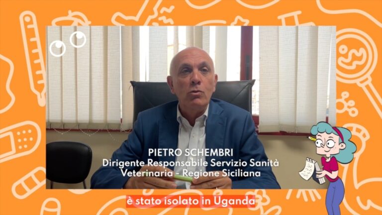 Preoccupa il West Nile, fondamentale la prevenzione