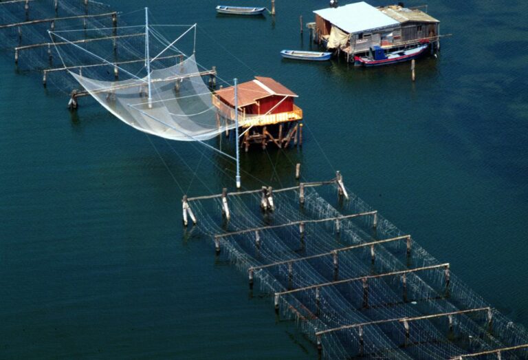 Nuova carta ittica regionale e regolamento pesca e acquacoltura