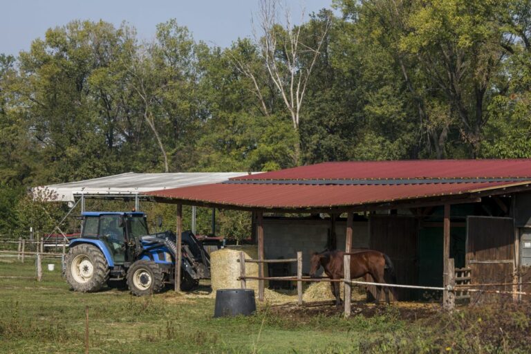 Diversificazione aziende agricole, bando Toscana da 5,4 milioni