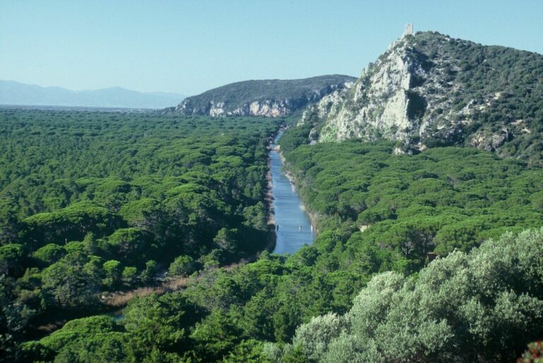 Marevivo e Wwf “Dare valore alla natura deve essere un impegno di tutti”