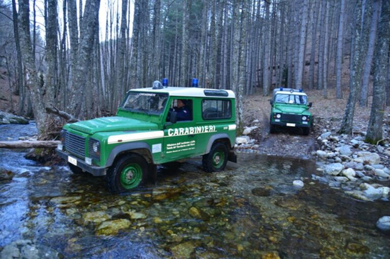 Nel 2022 in Lombardia 43mila controlli forestali, +20% in un anno