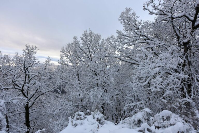 Maltempo, le province più colpite Rimini e Forlì-Cesena