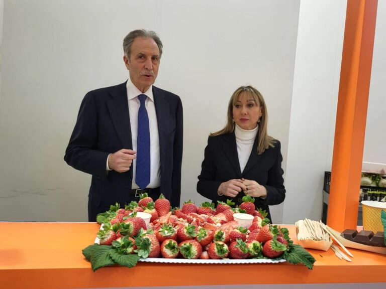 Fragola della Basilicata Igp, entro fine mese dossier al Masaf