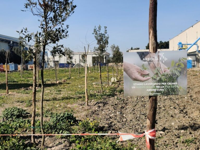 Foggia, Arbolia e Leonardo realizzano bosco urbano con 1.600 piante