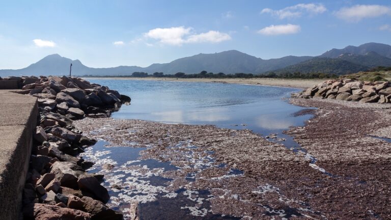 Moria di pesci a Feraxi, “dragaggio per aprire la foce”