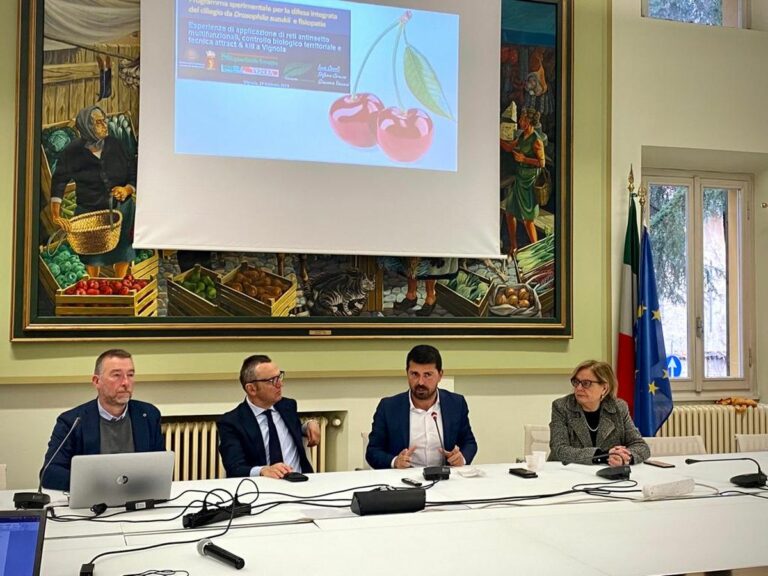 Agricoltura, ricerca e innovazione a difesa delle ciliegie di Vignola