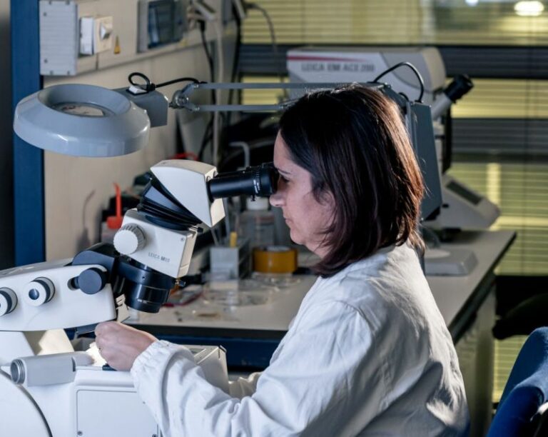 Pirelli e Università di Milano-Bicocca rinnovano la partnership nel Corimav per la ricerca su materiali e processi eco-friendly