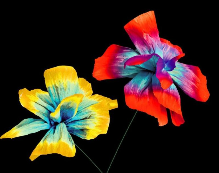 Diodato, il 24 marzo esce il nuovo album “Così speciale”